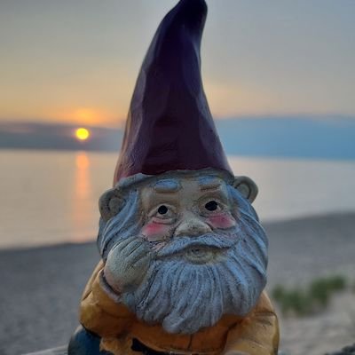 World's largest garden gnome • International vegetable smuggler • Tooth musician