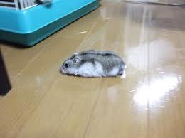 abl_erksuc's profile picture. よろしくお願いします！楽しい人生にしたい！