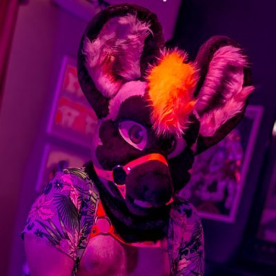 🍂An African Wild Dog 🐶 that's big, lewd, kind, lewd, soft, loyal and also lewd🍂🎂30💍Happily knotted🐺🐶Contains traces of 🍺🍄Loves all things breeding👀💦