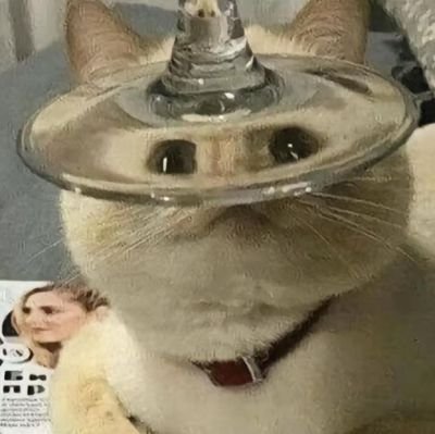 ailujairam_21's profile picture. 