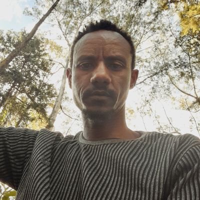 Z14968Zinab's profile picture.