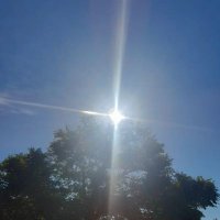 Tugba Boz (@tugba_boz34) 's Twitter Profile Photo Tugba Boz (@tugba_boz34) 's Twitter Profile Photo