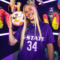 Allison Marshall (@_allisonmarsh) 's Twitter Profile