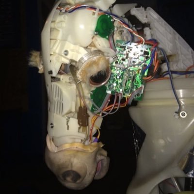 Nassace_'s profile picture. 28 platitude playground