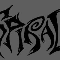 Spiral (@spiral_rblx) 's Twitter Profile Photo