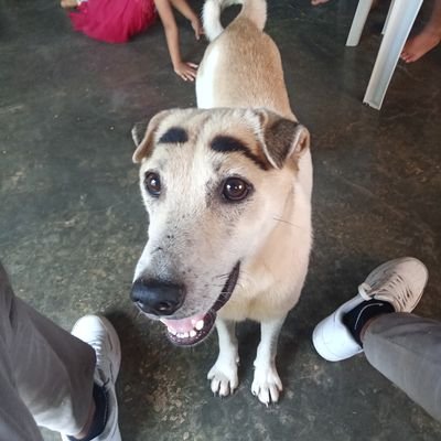 jaysirch's profile picture. web3