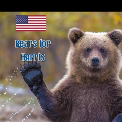 USAFVeteran No DMs please. If you can contribute to my #GoFundMe I would appreciate it. THX
