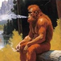 Steven Yingling (@rsyingl) 's Twitter Profile