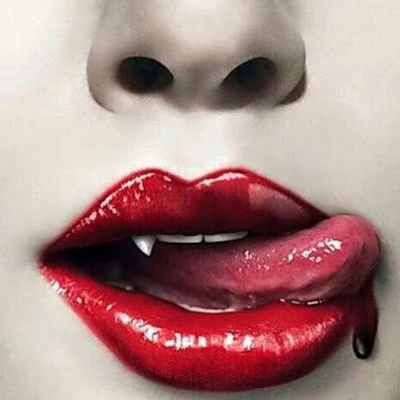 AlevKaramancem's profile picture. Hayvan sever😺🐶🐵🐰🐭🐗🦓🐕
insan seçer 😎