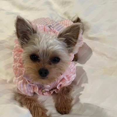 selahconsult's profile picture. 