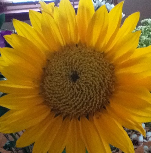 MMcCullochRN's profile picture. 