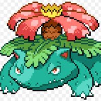 なお@札幌ポケカ (@pokepokepoke21) Twitter profile photo