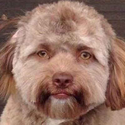 teruさんのプロフィール画像