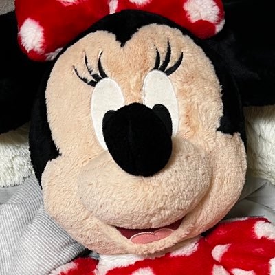 Teddybearnuinui's profile picture. くまのぬいぐるみとべろちゅー、ぬいぐるみぶっかけ、ぬいぐるみべろちゅー ぬいぐるみオナニー、ぬいぐるみsex ぬいぐるみフェチ、よだれフェチ plush love   ラブドールもいます。ドールの方もどうぞ！