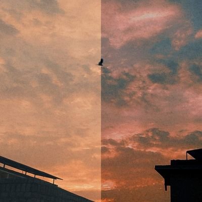nbaloc11's profile picture. 