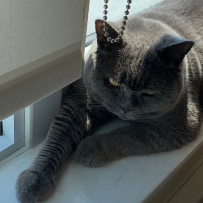 lianotdelulu's profile picture.