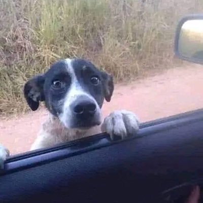 WilliWill236782's profile picture. 