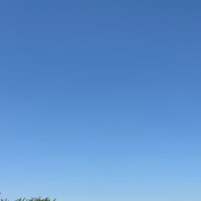 kdriveredio's profile picture. サイレントハッシュマークリスナーあまりポストしませんが訳あってradikoやめましたので圏外の放送は聴けません。ミスチルさんの曲が心の支えです。受動喫煙辛い。インプレッサに乗ってました。今は車買えません。サッカーは別のアカウントにいます。以前のアカウントは消去済み、その時のフォロワーさんの一部をフォローしてます。