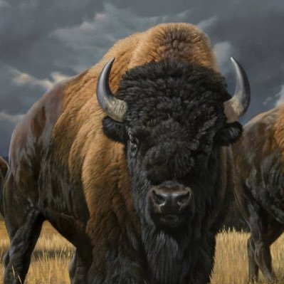 Swing Trader,Mostly pullbacks, student of the market,Bills Fan,Go Bills