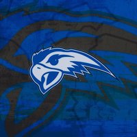 Henry Ford Baseball (@henryford_hawks) 's Twitter Profile Photo Henry Ford Baseball (@henryford_hawks) 's Twitter Profile Photo