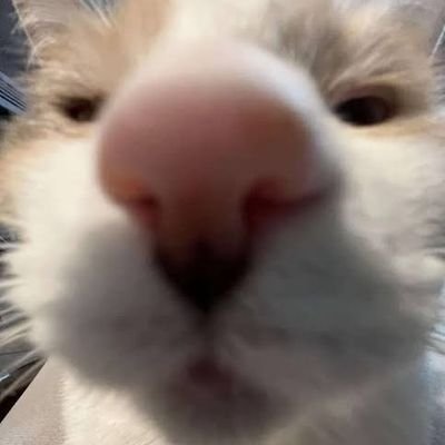 Remさんのプロフィール画像