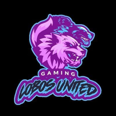 Army Vet, Gamer, Member of @regimentgg @killerjerkyco Use Code LOBOSUNITED @FatalGrips Use Code LOBOSUNITED WEBSITE: https://t.co/XVO1hrm0qJ