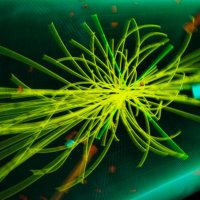 The God Particle (@_sgr_a_star) 's Twitter Profile