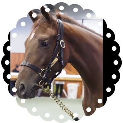 maomao0195's profile picture. いろいろ納得いかない事ばかり…モヤモヤの毎日ですが、廉くんと海ちゃんのキンプリに癒やされてます🍀最初で最後(？)の推しを全力応援!!