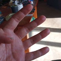 99mainfreight (@99problemsleft) 's Twitter Profile