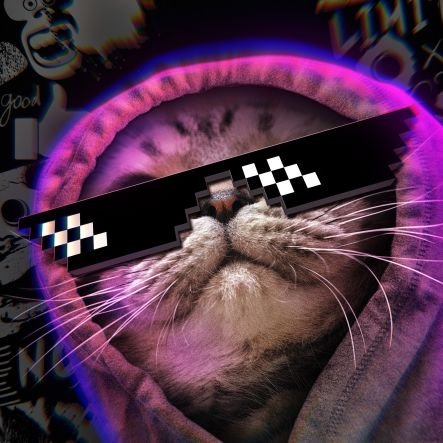 xTheJohnWick's profile picture. 