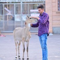ArvindBishnoi29 (@arvind_jaisla) 's Twitter Profile