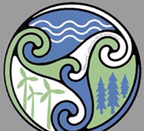 kindchicinwisc's profile picture. 