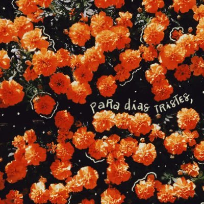 _dodava's profile picture. Tú brillas más que mil estrellas. Amando a cuatro rolos @MoratBanda