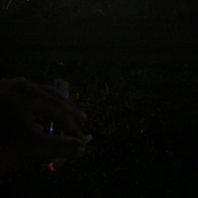 DEELOQD6's profile picture. 