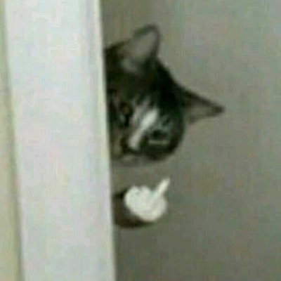 uptouptou's profile picture. 