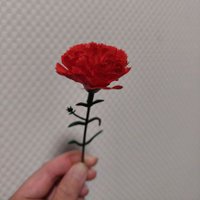 kraba (@sooool438528) 's Twitter Profile