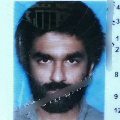 sylllogisms's profile picture. vigorously lollygagging