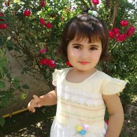 Hafeez Tanoli ⁱᴾⁱᵃⁿ🇵🇰🇰🇼 (@bdf_081) 's Twitter Profile Photo Hafeez Tanoli ⁱᴾⁱᵃⁿ🇵🇰🇰🇼 (@bdf_081) 's Twitter Profile Photo
