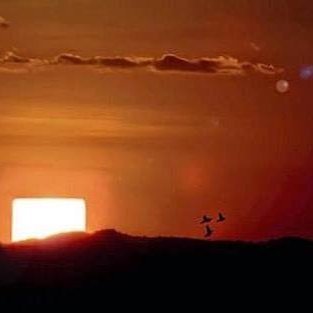 Dataworld95's profile picture. Daniel