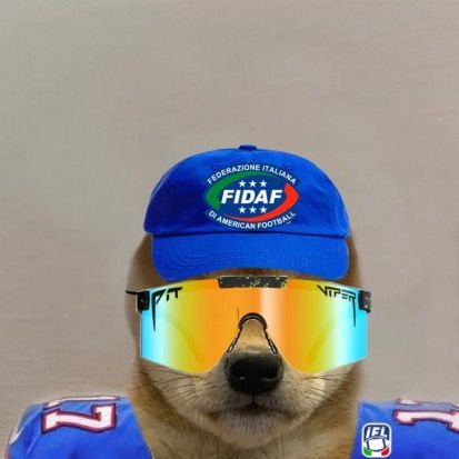 GridironDoggo's profile picture. Ma quindi il Football Americano è uguale al Rugby?
 
Su Instagram sono @italianfootballcontent