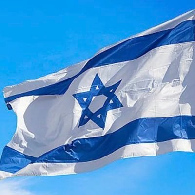 thisistupic's profile picture. Sicilian Jew. Academic Australian ex pat, dogs horses, a cat, a partner and a country life. 🇮🇱🇮🇱❤️🎗️