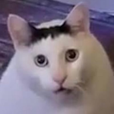 leverage_kichi's profile picture. 松井証券レバナス民。NISAは「ハイリスク投信＋個別株」で非課税メリット最大享受／特定は「レバナス,ゴルナス」＋「ベスコ,ABD,WCM等」＋「JEPQ,FEPI等カバコETF」を定額積立and待機資金で暴落時待買い増しをしていくスタイルです⚔️