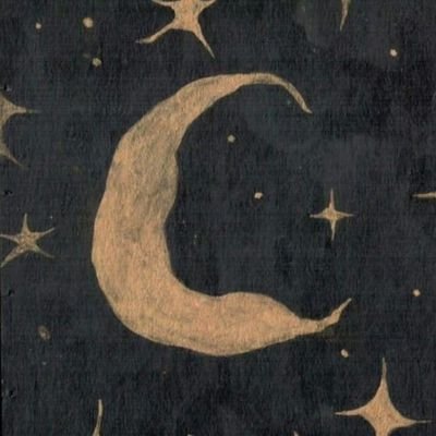✧柒玖拾二さんのプロフィール画像