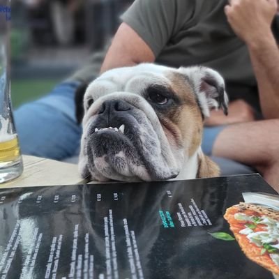 DBarattolo's profile picture. siamo i bulli di quartiere