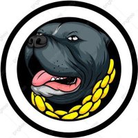 PULCH π΅π (@pulch164976) 's Twitter Profile