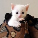 Ruby Bloom - @RubyBlooom - Twitter