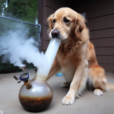 xavy31prieto's profile picture. hi