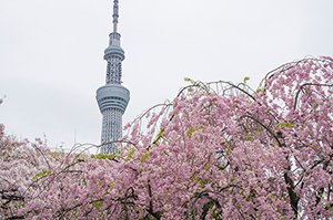 会社社長/個人投資家/資産家。ビジネス失敗後、再チャレンジし複数社経営。現在はおトク情報を教えたり、私自身お金に苦労したので生活に苦しんでいる方を助けたいと思い、多少ですがお金配り企画を始めました♫ なくなり次第終了▷https://t.co/UKzhGmMV82
