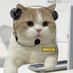 åððã¢ãã¿ãŒåéäžð¥³ (@rinrinsohimi) Twitter profile photo åððã¢ãã¿ãŒåéäžð¥³ (@rinrinsohimi) Twitter profile photo