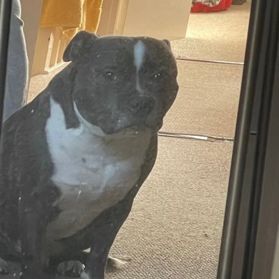 Tomasz98454643's profile picture. 